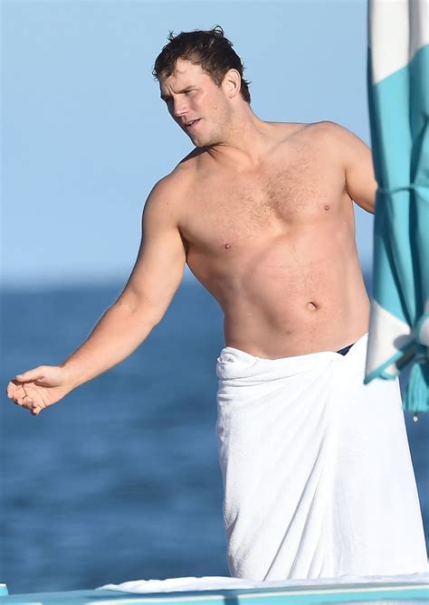 brent everett bulge|Hottest Celebrity Men at the Beach in Swim Trunks, Shirtless.